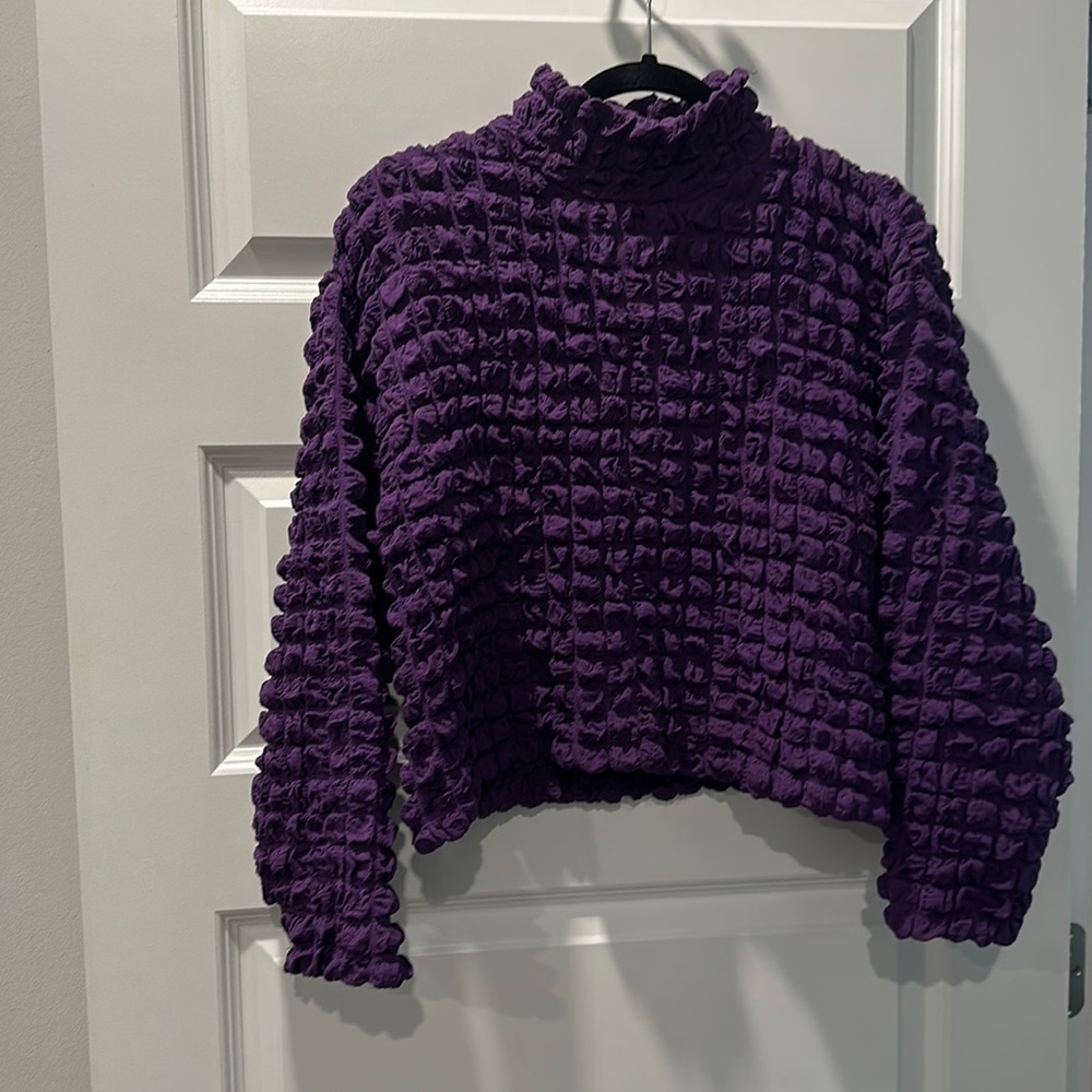 Zara Purple bubble top